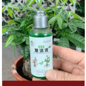 2 বোতল 2499TK